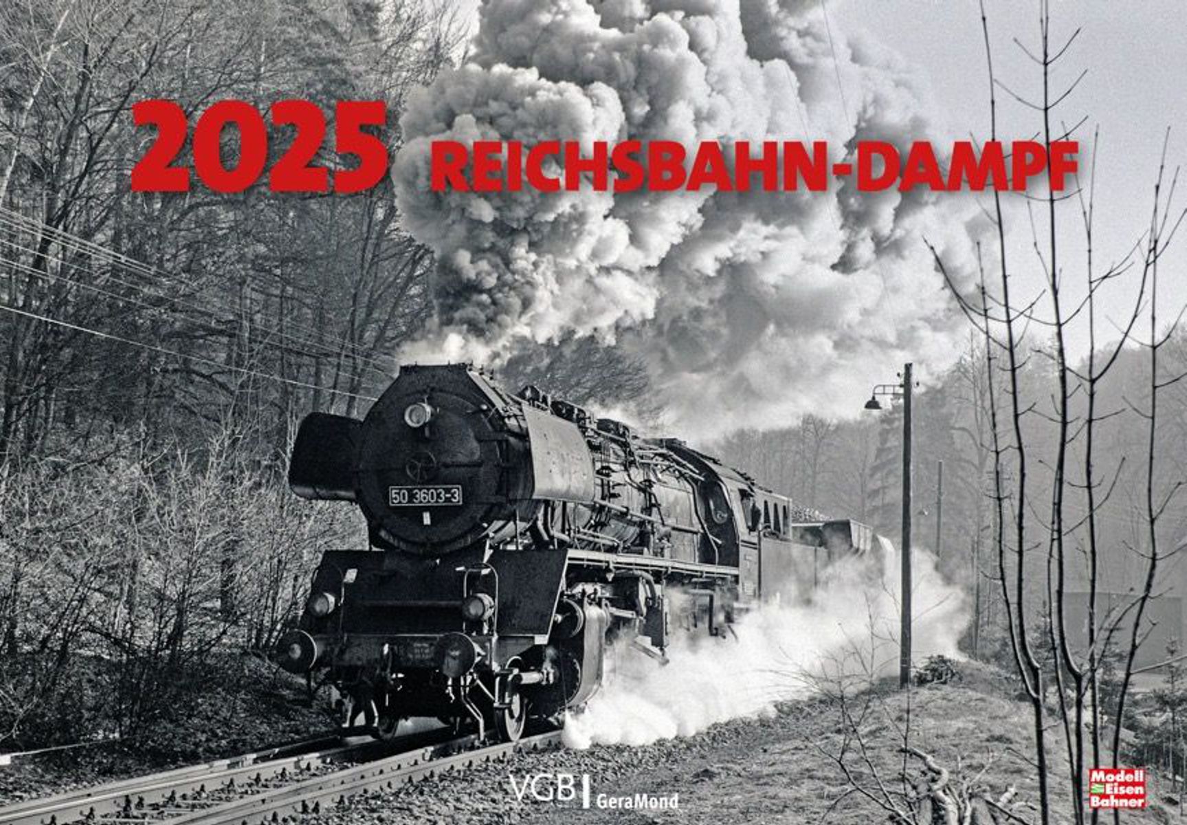 VGB 20802055 Kalender ReichbahnDampf 2025